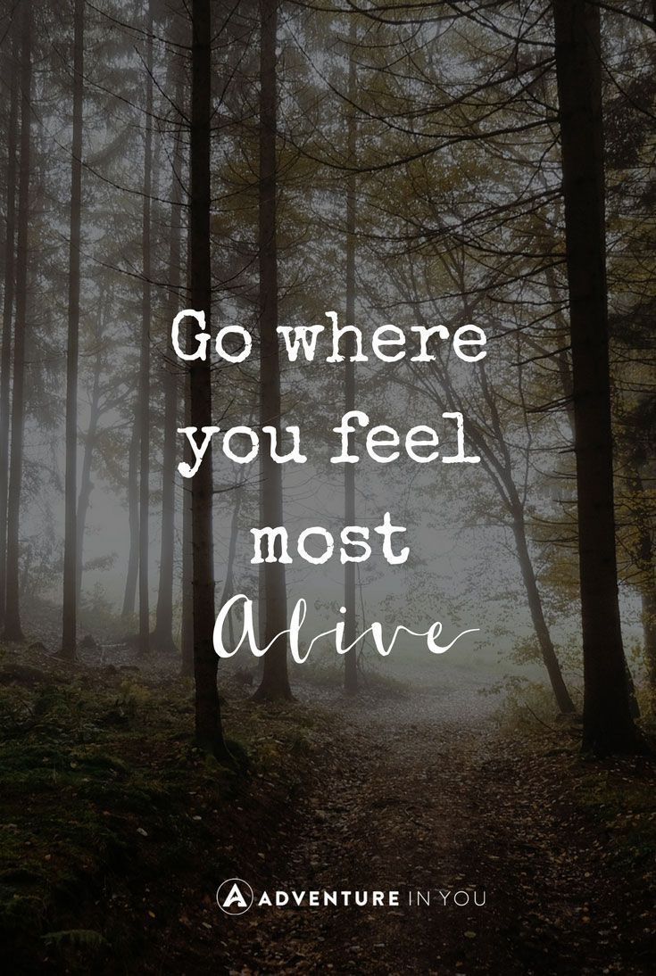 Go Where You Feel
