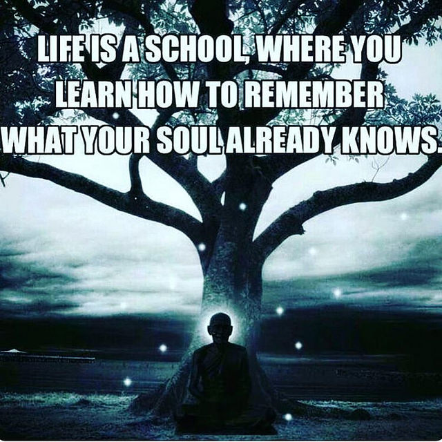 Life Is A School Where You Learn...