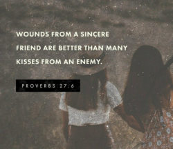 Wounds From A Sincere Friend....