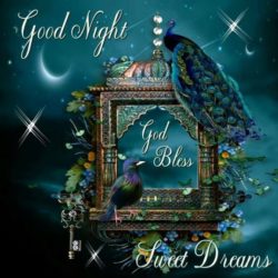 Good-Night-God-Bless