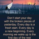 Don't Start Your Day With...