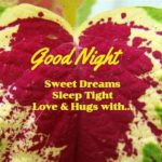 Good Night Sweet Dreams...