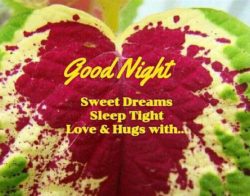 Good night sweet dreams