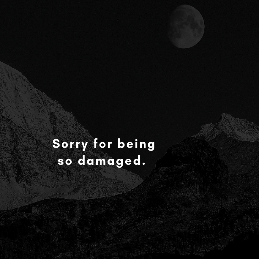 Sorry for being so damaged