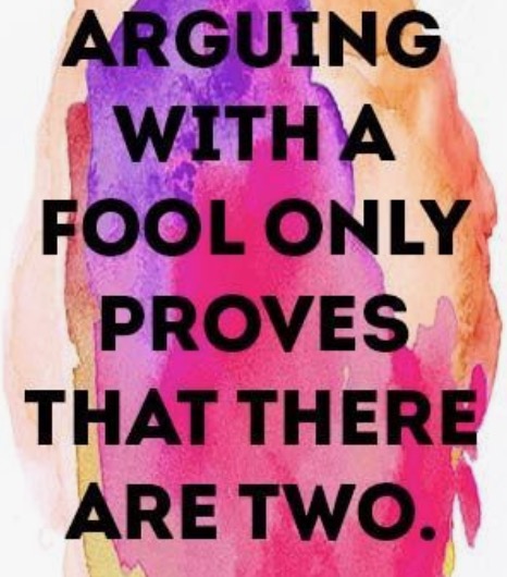 Arguing With A Fool...