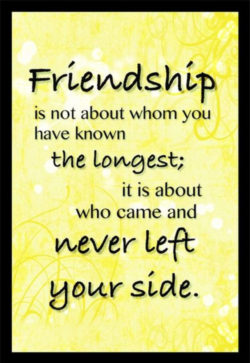 Friendship Is Not About Whom...