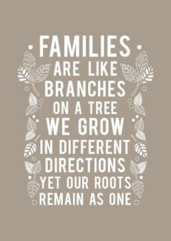 Families Are Like Branches...