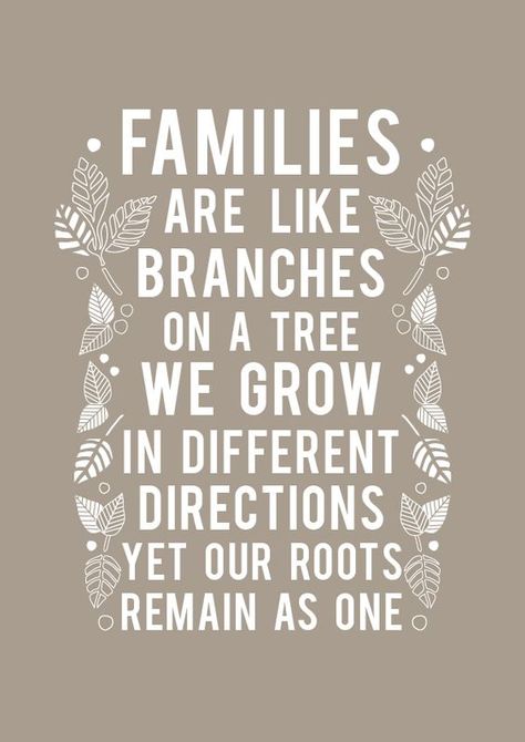 Families Are Like Branches...