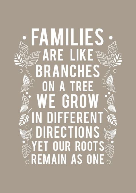 Families Are Like Branches...