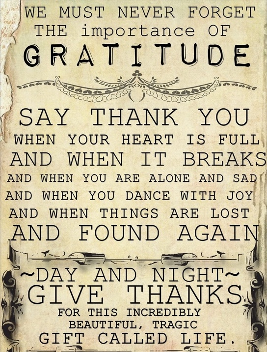 Say Thank You When...