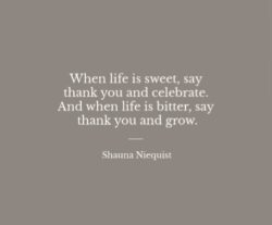 When Life Is...