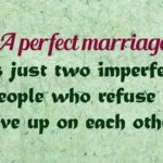A Perfect Marriage...