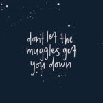 Don't Let The Muggles...
