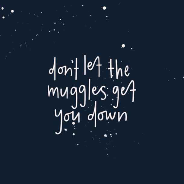 Don't Let The Muggles...